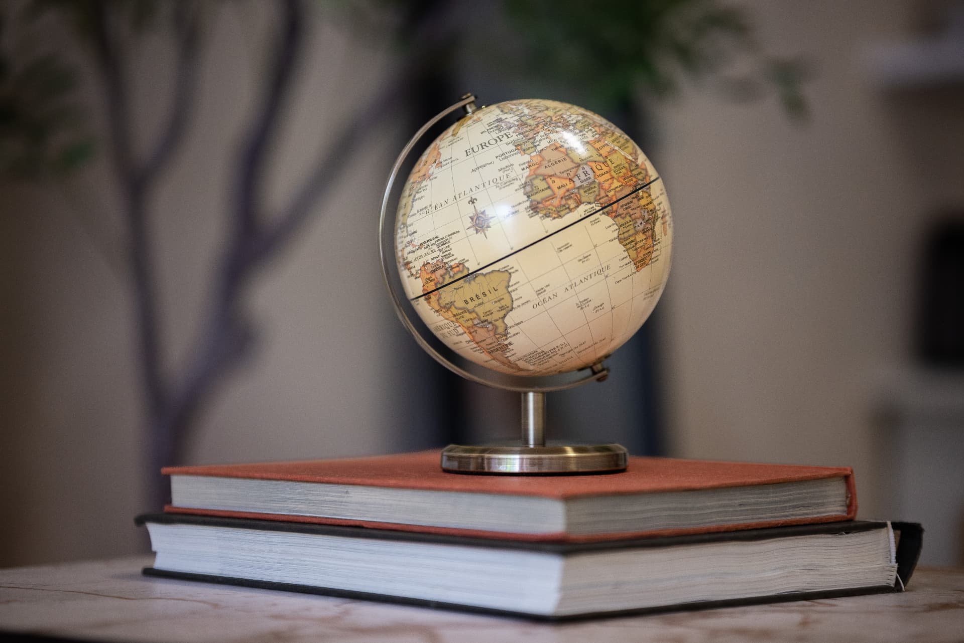 Globe resting on books at Lingo by Iva